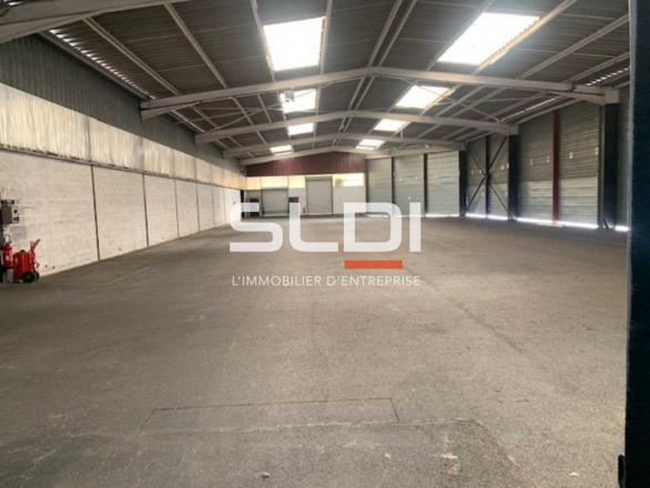 Activités A LOUER - CHAPONOST - 5 262 m²