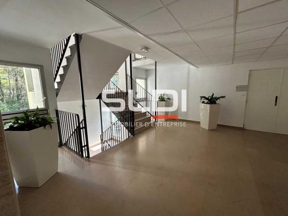 Bureaux A LOUER - ECULLY - 318 m²