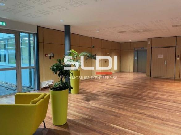 Bureaux A LOUER - ECULLY - 1 111 m²