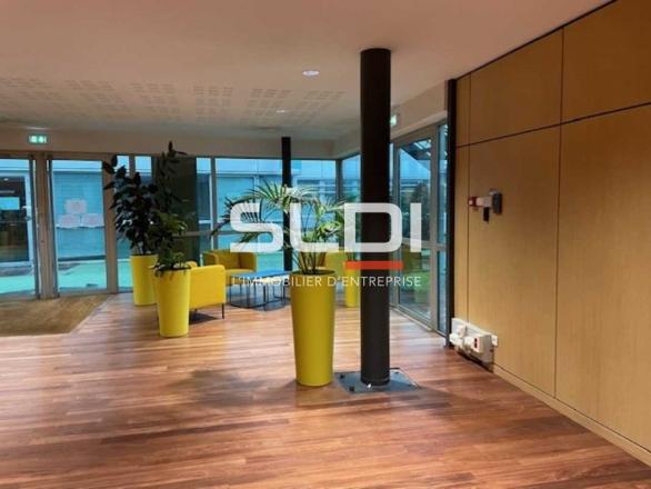 Bureaux A LOUER - ECULLY - 912 m²