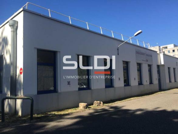 Bureaux A LOUER - VILLEURBANNE - 1 183 m²