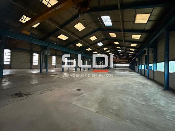 Activités A VENDRE - JASSANS RIOTTIER - 4 185 m²