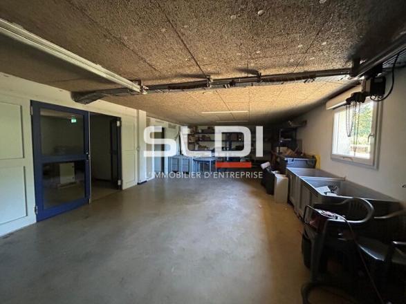 Activités A LOUER - DECINES CHARPIEU - 644 m²
