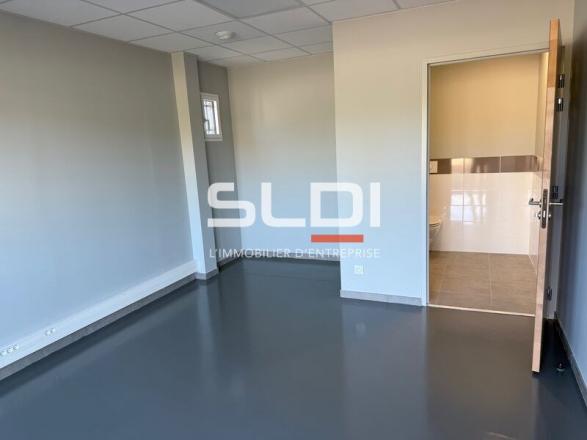 Activités A LOUER - LUZINAY - 420 m²