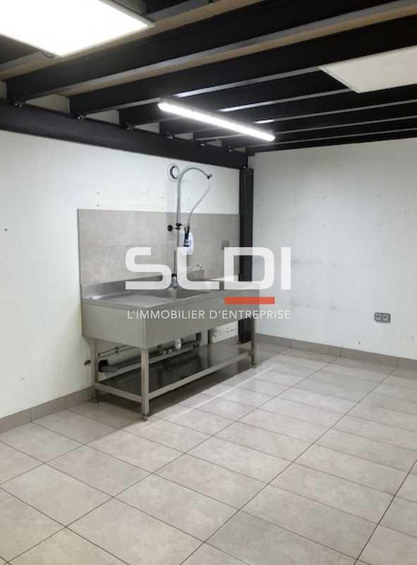 Activités A LOUER - FLEURIEU SUR SAONE - 738 m²