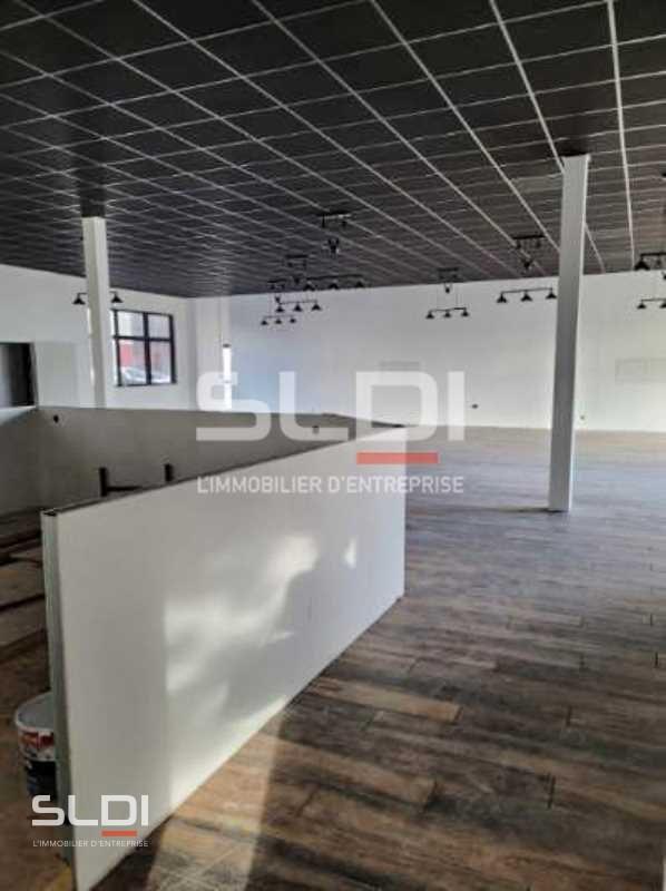 Activités A LOUER - DARDILLY - 5 560 m²