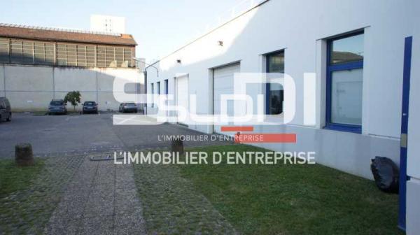 Bureaux A LOUER - VILLEURBANNE - 1 183 m²