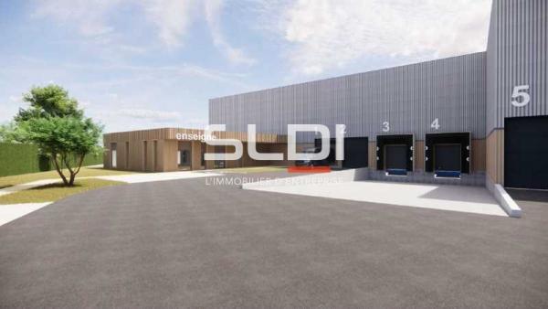 Activités A LOUER - RILLIEUX LA PAPE - 3 278 m²