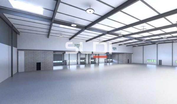 Activités A LOUER - DECINES CHARPIEU - 2 256 m²