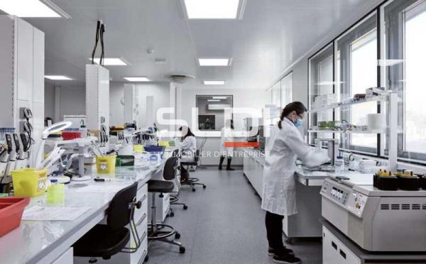 Bureaux A LOUER - LYON - 627 m²