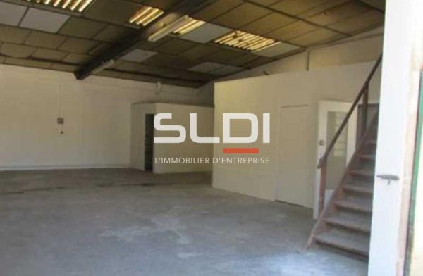 Activités A LOUER - FLEURIEU SUR SAONE - 397 m²