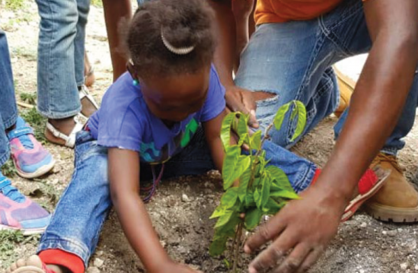 La SLDI participe à un projet de reforestation en plantant 100 arbres à Haïti ! 