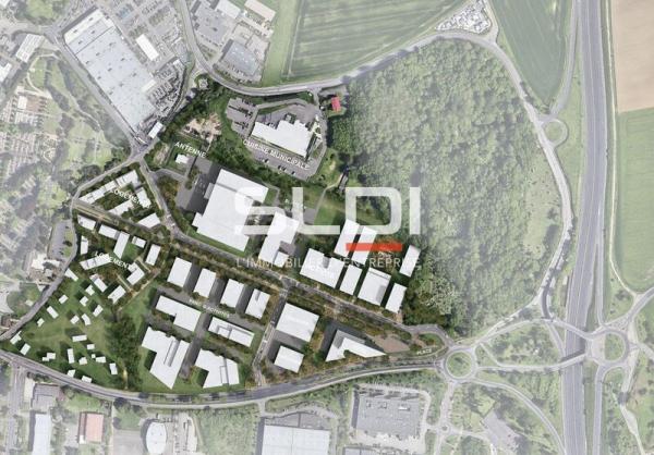 Activités A LOUER - RILLIEUX LA PAPE - 285 m²