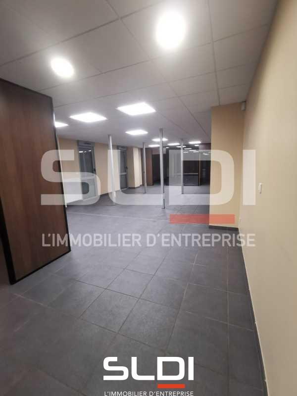 Activités A LOUER - LUZINAY - 481 m²