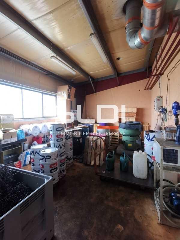 Activités A LOUER - SEMONS - 1 000 m²