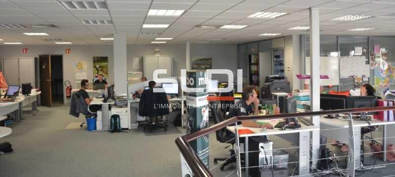 Activités A LOUER - SAINT QUENTIN FALLAVIER - 1 310 m²