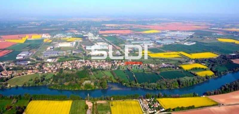 Terrains A VENDRE - SAINT VULBAS - 10 000 m²