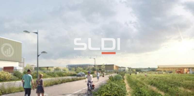 Activités A VENDRE - ALBON - 10 000 m²