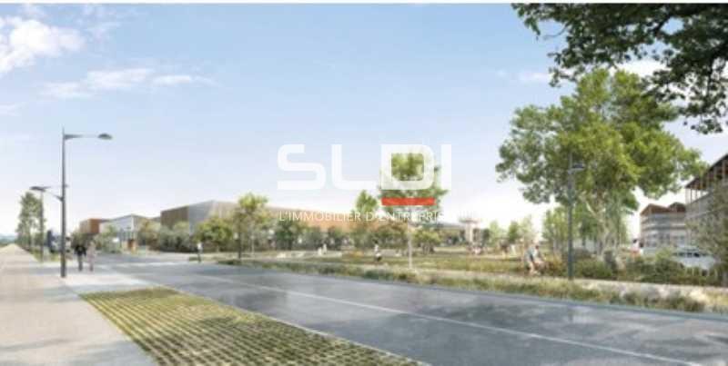 Activités A VENDRE - ALBON - 10 000 m²