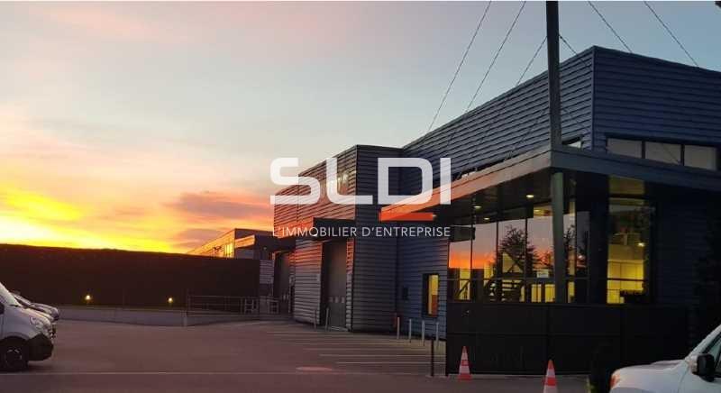 Activités A LOUER - SAINT QUENTIN FALLAVIER - 1 310 m²