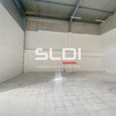 Activités A LOUER - GENAS - 318 m²