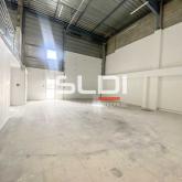 Activités A LOUER - GENAS - 318 m²