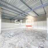 Activités A LOUER - GENAS - 318 m²