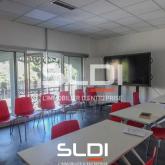 Bureaux A LOUER - LYON - 348 m²
