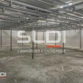 Activités A LOUER - SAINT SYMPHORIEN D'OZON - 1 200 m²