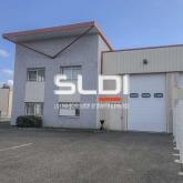 Albatros Lot 1 Albatros Lot 1