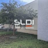 Albatros Lot 1 Albatros Lot 1