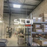 Albatros Lot 1 Albatros Lot 1