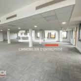 Bureaux A LOUER - COLOMBIER SAUGNIEU - 374 m²