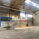 Locaux d'activités A VENDRE - RILLIEUX LA PAPE - 966 m²