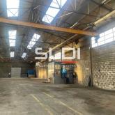 Activités A VENDRE - RILLIEUX LA PAPE - 1 975 m²