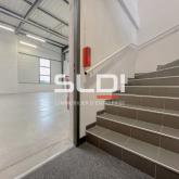 Activités A LOUER - RILLIEUX LA PAPE - 300 m² Activités A LOUER - RILLIEUX LA PAPE - 300 m²