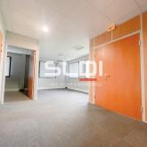 Activités A LOUER - RILLIEUX LA PAPE - 300 m²