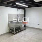 Activités A LOUER - FLEURIEU SUR SAONE - 1 414 m²