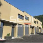 Activités A LOUER - FLEURIEU SUR SAONE - 1 414 m²