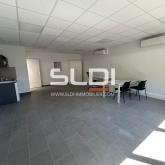 Locaux d'activités A LOUER - FLEURIEU SUR SAONE - 1 059 m² Locaux d'activités A LOUER - FLEURIEU SUR SAONE - 1 059 m²