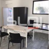 Activités A LOUER - FLEURIEU SUR SAONE - 1 414 m²