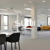 Bureaux A VENDRE OU A LOUER - BRON - 258 m²