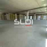 Bureaux A VENDRE OU A LOUER - GENAS - 2 081 m²