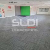 Activités A LOUER - DARDILLY - 2 495 m²