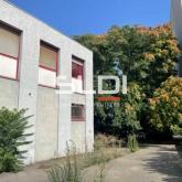Bureaux A VENDRE - VILLEURBANNE - 252 m²