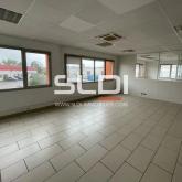 Locaux d'activités A LOUER - DECINES CHARPIEU - 1 123 m²