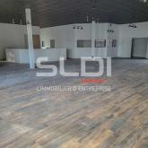 Activités A LOUER - DARDILLY - 686 m²