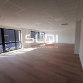 Locaux d'activités A LOUER - SAINT QUENTIN FALLAVIER - 298 m²