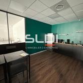 Bureaux A LOUER - CHAMPAGNE AU MONT D'OR - 821 m²