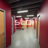 Bureaux A LOUER - CHAMPAGNE AU MONT D'OR - 821 m²